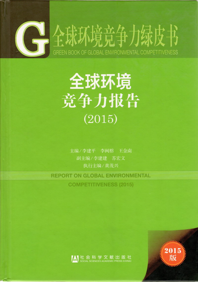 用力啊啊啊啊啊好舒服快点男人插女人下面的视频全球环境竞争力报告（2017）